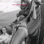 Glenda Kemp (born 13 May 1949) is the famous South African stripper/exotic dancer from the late 1970s (peak fame in the mid-to-late 1970s, with activity continuing into the early 1980s period referenced) known for her stage act featuring a live python