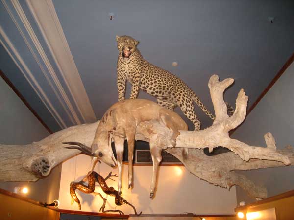 Durban Natural Science Museum