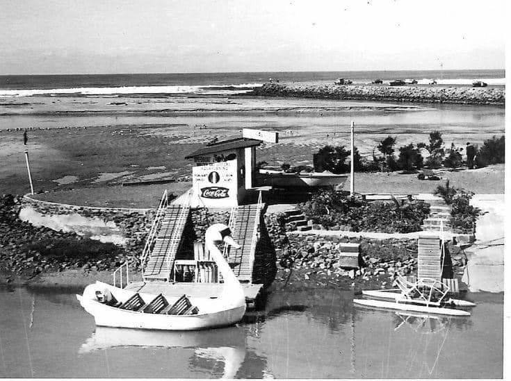 The Swan at the Blue Lagoon