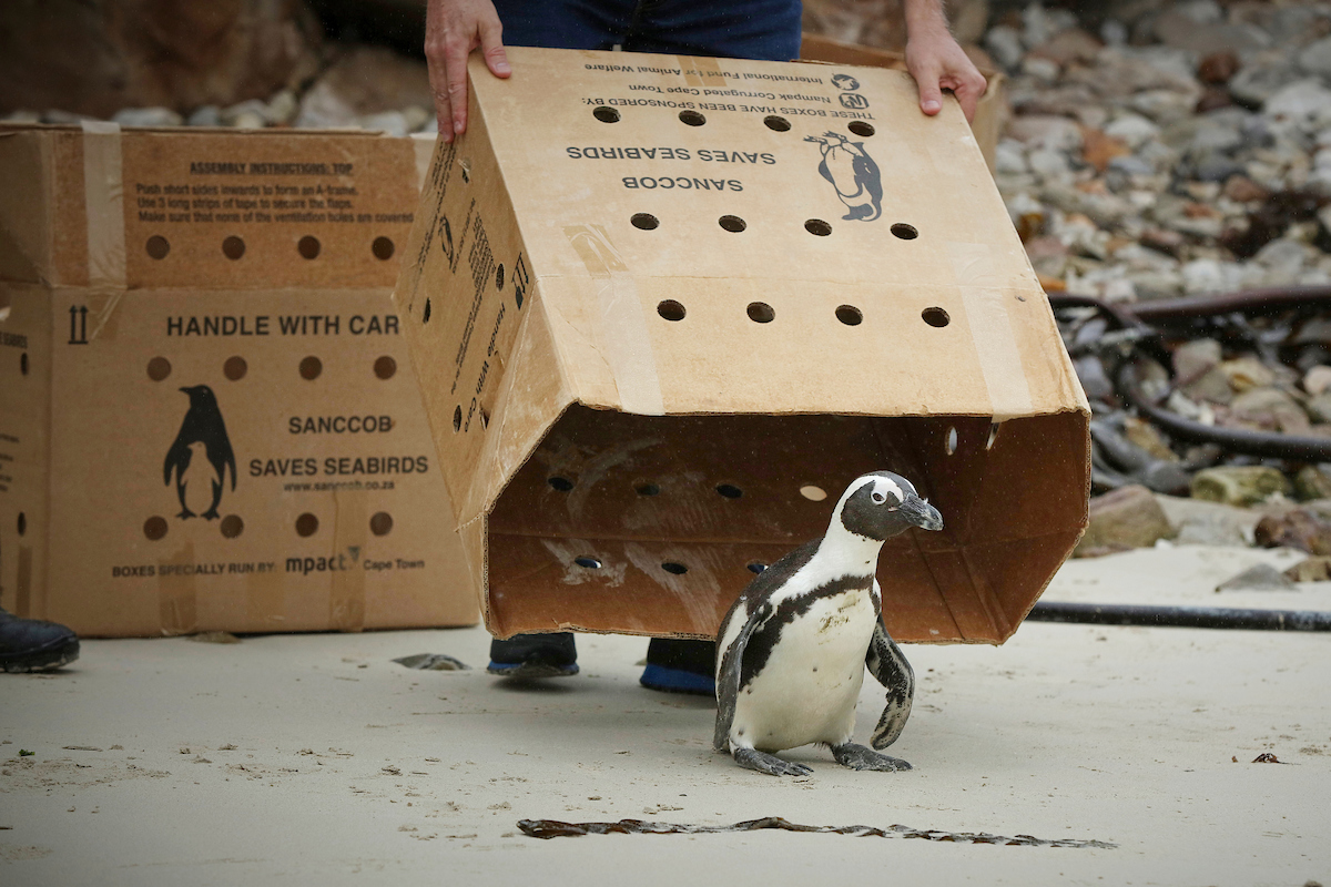 14-year-old environmental trailblazer Durban