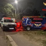 Two men in their thirties were shot and killed in a suspected drive-by shooting on the M1 Higginson Highway in Chatsworth