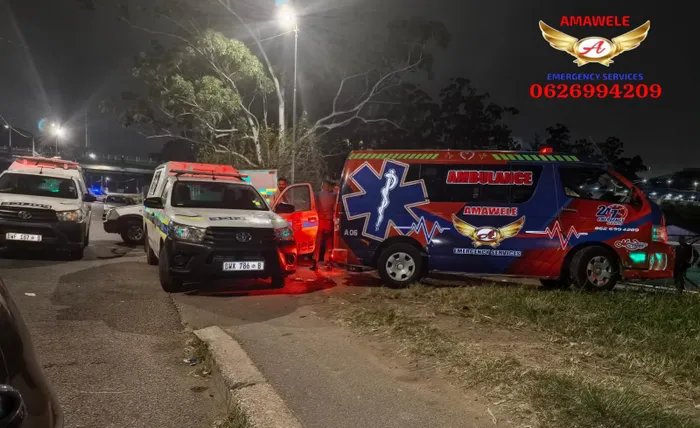 Two men in their thirties were shot and killed in a suspected drive-by shooting on the M1 Higginson Highway in Chatsworth