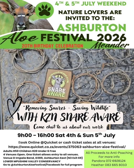 Come chat to the KZN Snare Aware Team about their work of removing snares and saving wildlife at the Ashburton Aloe Festival between 9h00 & 16h00 on Sunday 5th July at Impala Bend (Venue D), D389 Ashburton East. Snare Aware is run by a small group of volunteers who have made a massive impact on wildlife protection, with over 1300 snares removed in the last two years in KZN and countless people and organisations trained up to do the same. They have travel the length and breadth of KZN at their own cost. Funds raised go towards batteries and data for our camera traps that monitor poaching hotspots. To support their recent appeal for fuel to support their work go to @snareaware The Ashburton Aloe Festival is a meander of four venues open to the public between 9h00 - 16h00 over the weekend of the 4th & 5th July with a full program of nature-based walks, talks and activities including a snake show and anti-poaching K9 display on both days. Enjoy a variety of light food and refreshments available, local stalls and art to browse, plant sales and aloe sales with special show discounts from Rocky Wonder Aloe Nursery. Our full program and attractions will be pinned to the top of this page soon.