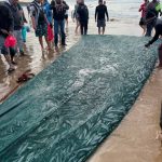 2026 sardine run has landed
