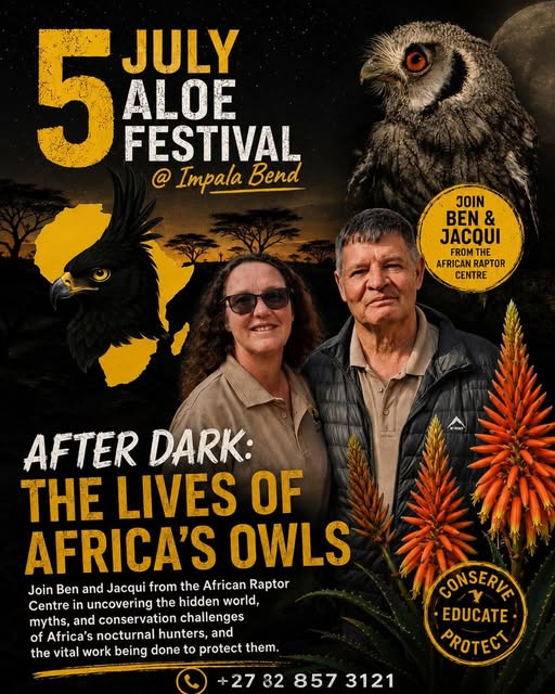The Aloe Festival on 5 July 2026