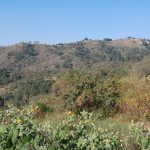 The hills of KZN