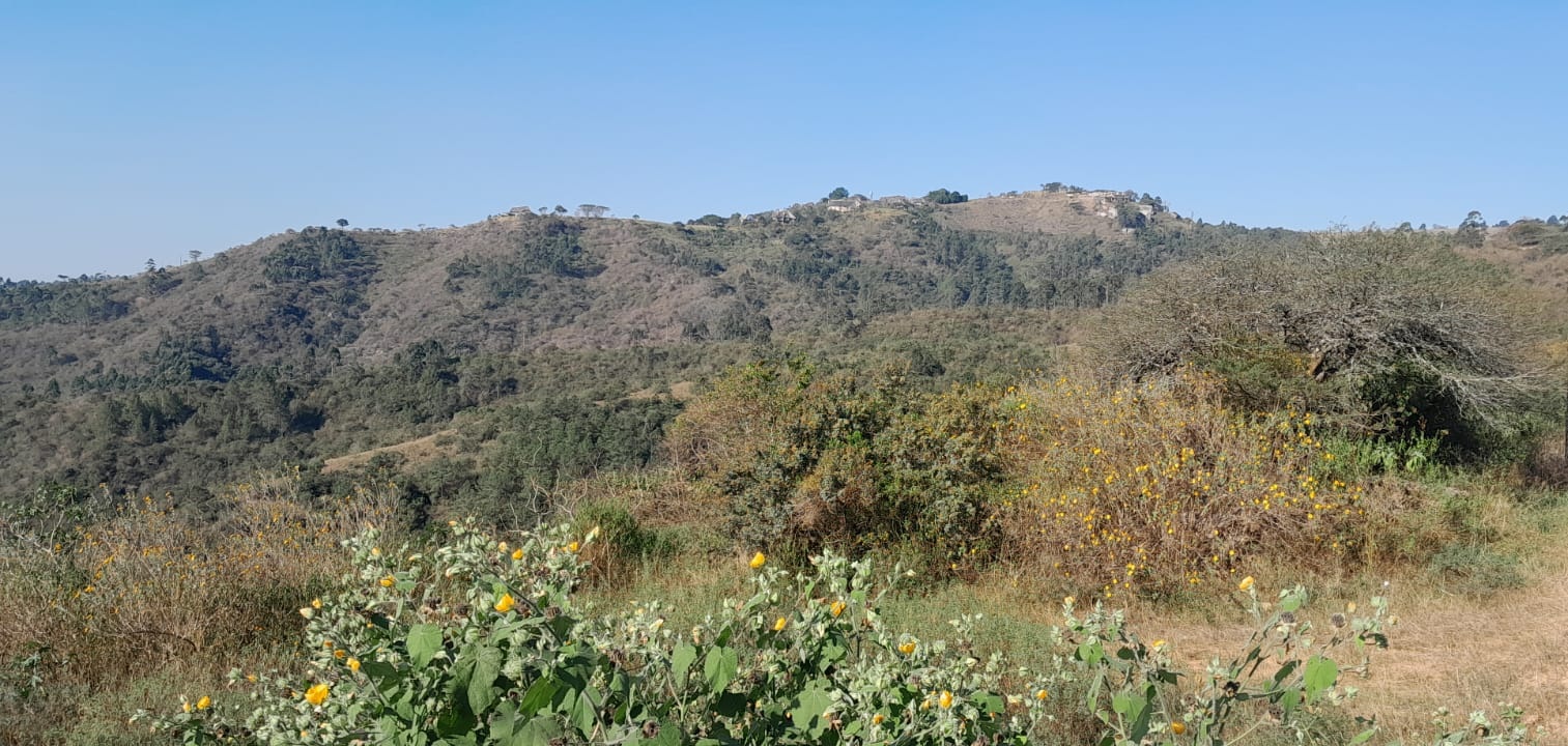 The hills of KZN