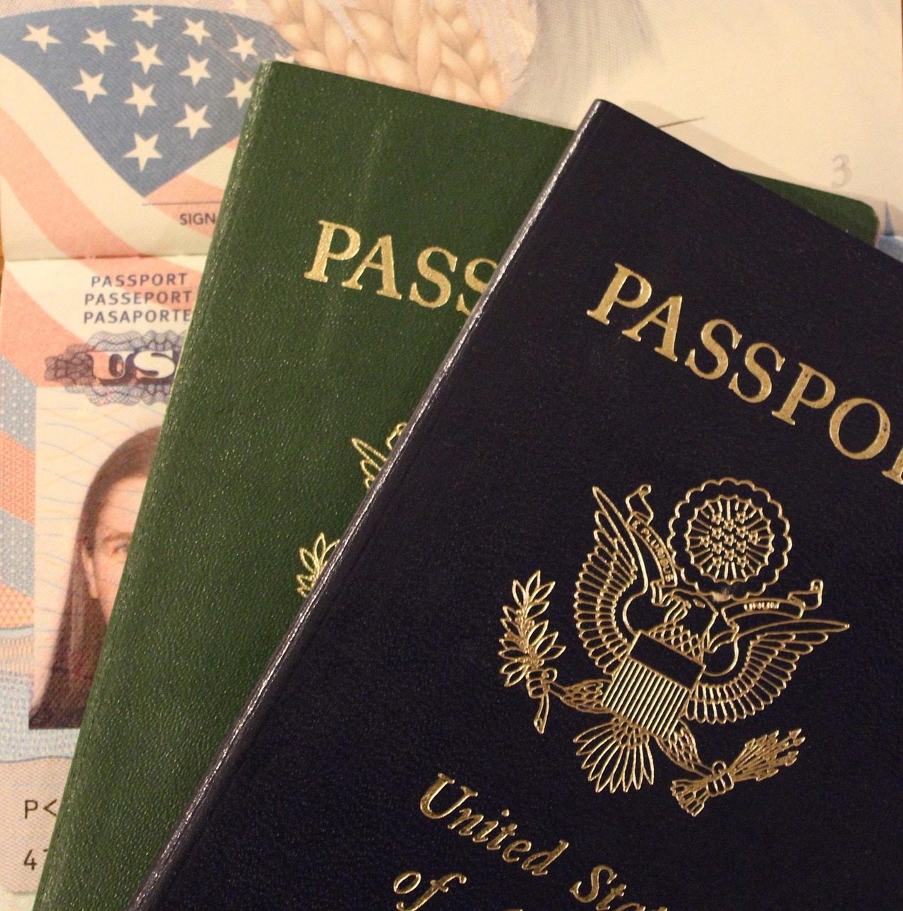 immigration south africa