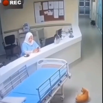 Is it a Ghost ?