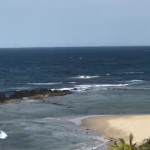 Sardine run durban