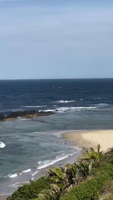 Sardine run durban