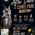 After dark @ cumic park