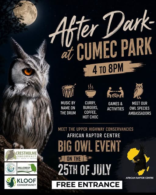 After dark @ cumic park
