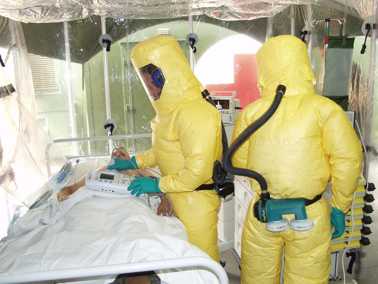 ebola virus