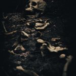 Skeleton