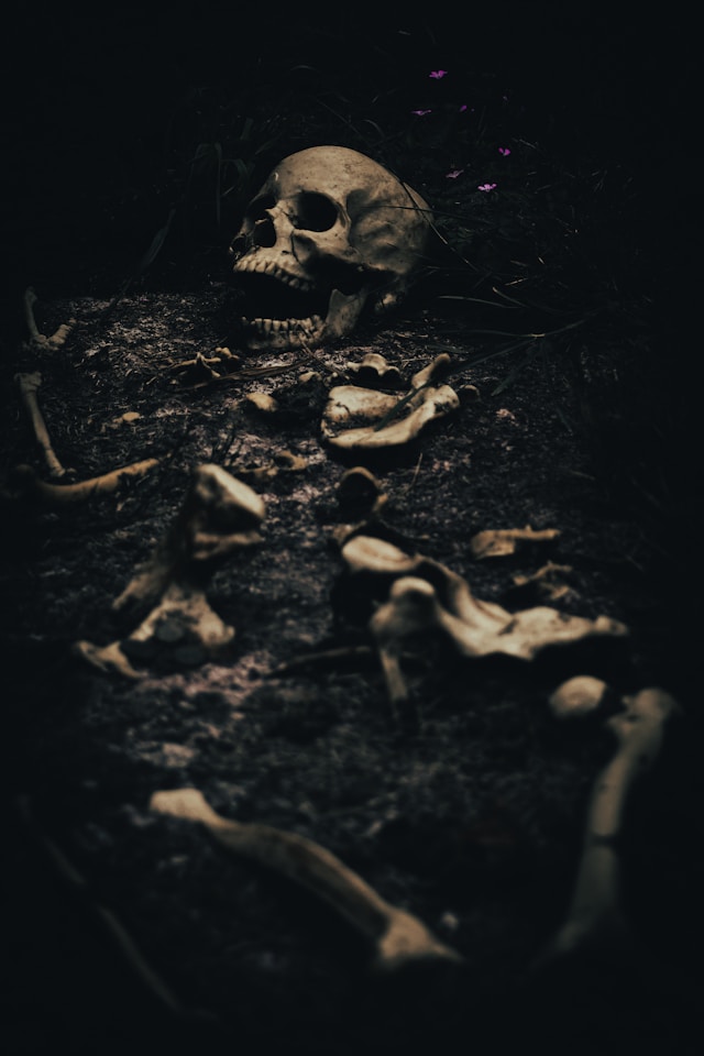 Skeleton