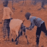 Be kind be fair (1)