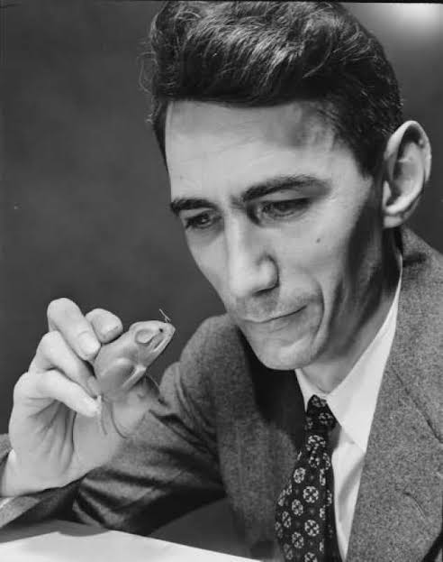 Claude Shannon (1916–2001) is one of the clearest examples of a single mind reshaping multiple fields at once. The narrative you shared is essentially accurate in its core claims, and the implications continue to structure nearly every digital system we use. Here is a fuller, multi-angle look at the man, the work, and the long shadow it still casts. 5 (1)