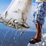 Gill Netting in Durban