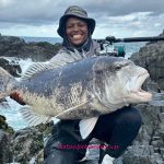 The black musselcracker