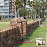 The 1906 Prisoner of War wall (also called the Bhambatha or Bambatha POW wall / Escombe Sea Wall) is a low stone structure in Durban’s Point area, specifically associated with Ballard Street and the Addington Beach promenade.