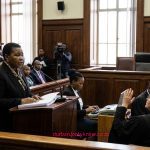 Former defence minister and National Assembly Speaker Nosiviwe Mapisa-Nqakula is currently testifying in her own defence in the Gauteng High Court in Pretoria