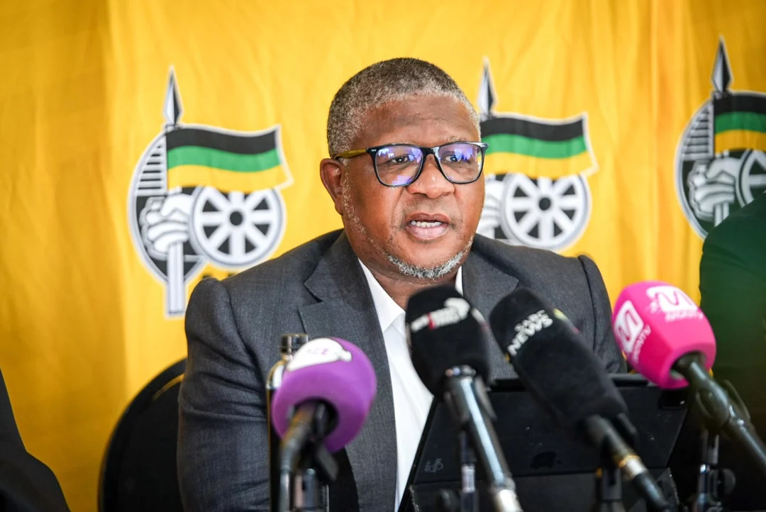 Eastern Cape court dismisses urgent bid to nullify ANC candidate lists for 2026 local polls