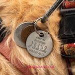 The controversy centres on the City of Cape Town’s draft Animal Keeping By-law, 2026 (not a national law), under the Democratic Alliance (DA)-controlled metro. Critics describe it as introducing a new “dog licence,” “pet tax,” or mandatory paid permits for ordinary pet owners.