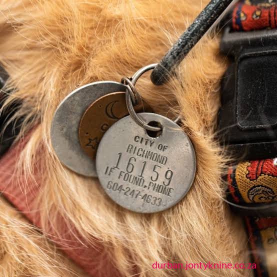 The controversy centres on the City of Cape Town’s draft Animal Keeping By-law, 2026 (not a national law), under the Democratic Alliance (DA)-controlled metro. Critics describe it as introducing a new “dog licence,” “pet tax,” or mandatory paid permits for ordinary pet owners.