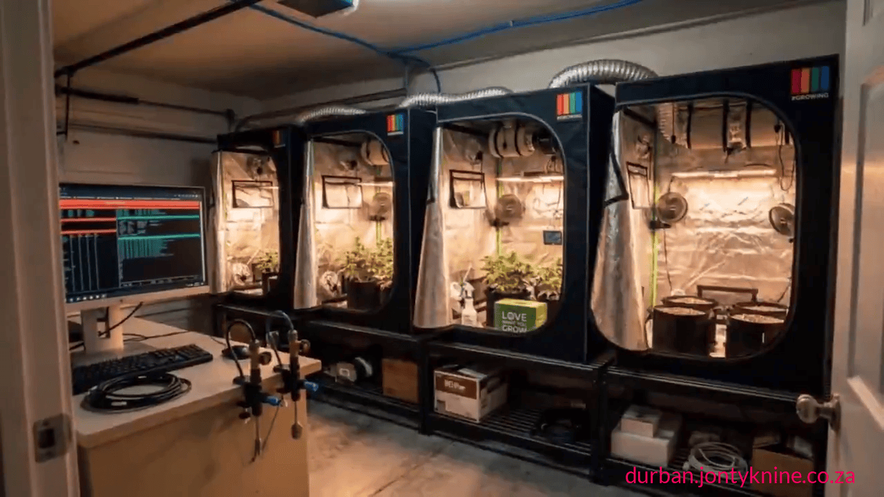 In a real independent experiment (not an official Anthropic project) in which Anthropic’s Claude AI autonomously managed a tomato plant named “Sol” from seed to ripe fruit for 100 days with zero human intervention in care decisions