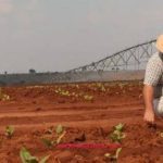 Zimbabwe (South Africa’s northern neighbour) has paid roughly 8 million (about R8.45–R8.5 billion at prevailing exchange rates) in compensation to former white commercial farmers for land seized during the fast-track land reform programme that began around 2000, while South Africa’s state-owned Nuclear Energy Corporation (Necsa) reported a R7.3 million group loss for its 2026 financial year.