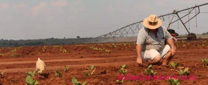 Zimbabwe (South Africa’s northern neighbour) has paid roughly 8 million (about R8.45–R8.5 billion at prevailing exchange rates) in compensation to former white commercial farmers for land seized during the fast-track land reform programme that began around 2000, while South Africa’s state-owned Nuclear Energy Corporation (Necsa) reported a R7.3 million group loss for its 2026 financial year. Zimbabwe (South Africa’s northern neighbour) has paid roughly 8 million (about R8.45–R8.5 billion at prevailing exchange rates) in compensation to former white commercial farmers for land seized during the fast-track land reform programme that began around 2000, while South Africa’s state-owned Nuclear Energy Corporation (Necsa) reported a R7.3 million group loss for its 2026 financial year.