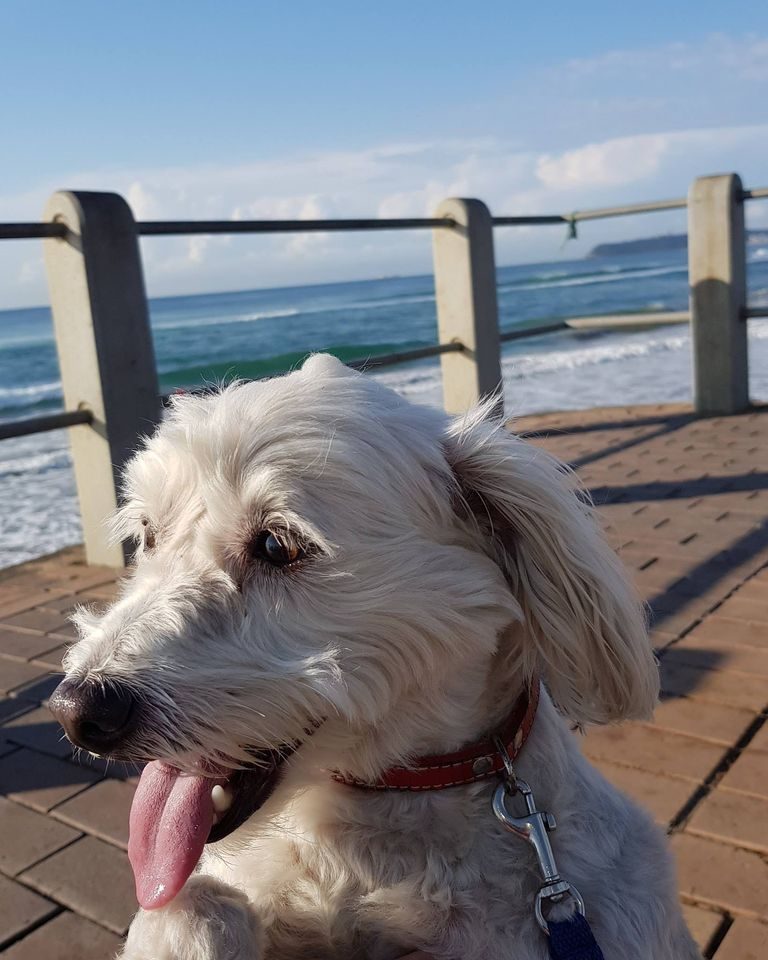 Durban